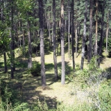 dscn9497